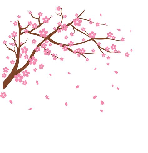 Sakura Tree Transparent