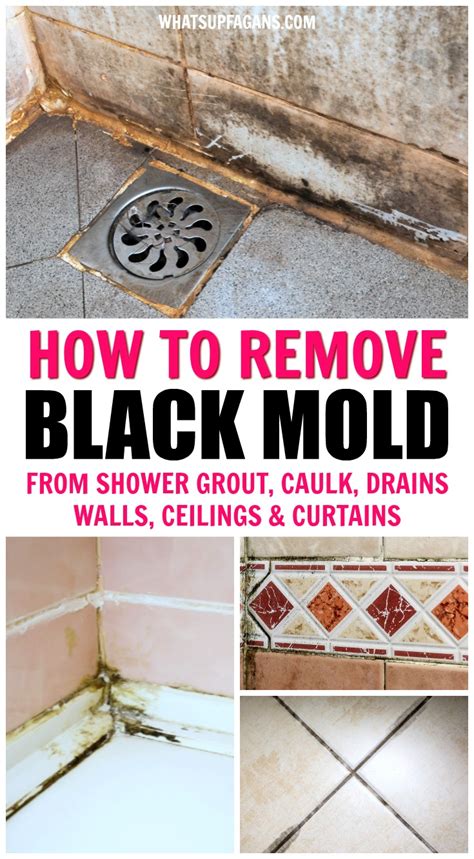 How To Treat Black Mold In Bathroom Ceiling Homeminimalisite