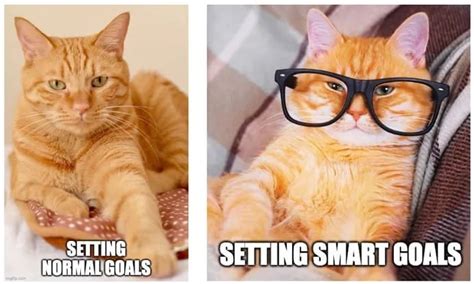 Goals Memes To Inspire A Successful