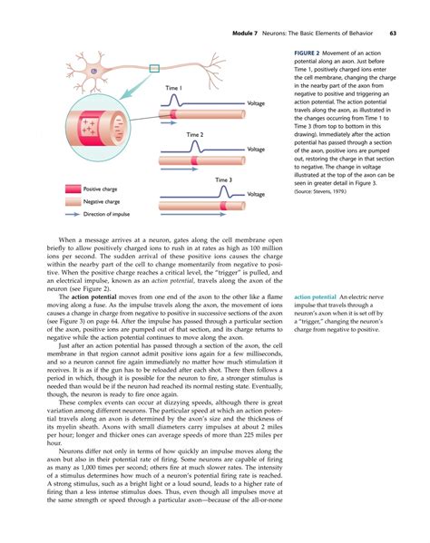 Chapter Neuroscience