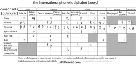 Perbedaan Antara Frikatif Dan Affricate Fricative Vs Affricate