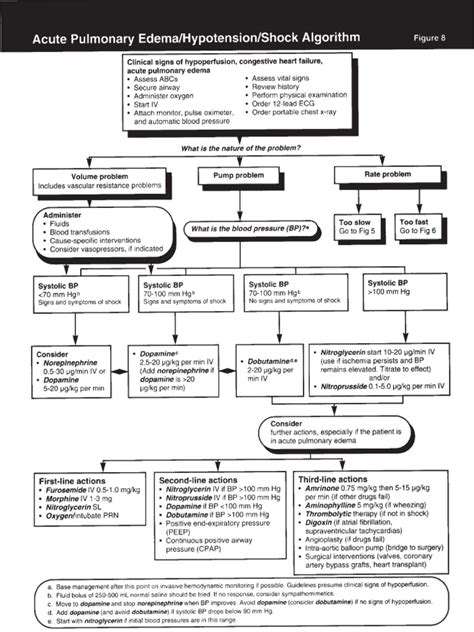 PDF ACLS ALO Pdf DOKUMEN TIPS