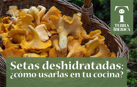 Setas Deshidratadas C Mo Usarlas En Tu Cocina