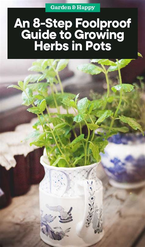 An 8-Step Foolproof Guide to Growing Herbs in Pots - Garden and Happy