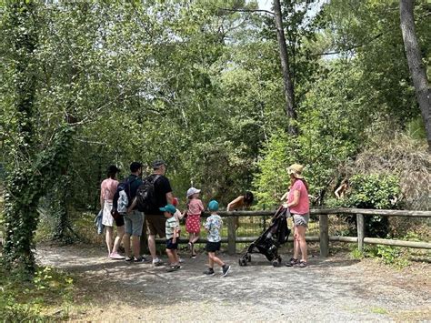 A Malansac Dans Le Parc De Pr Histoire Les Dinosaures Sont Plus Vrais