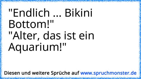 Endlich Bikini Bottom Alter Das Ist Ein Aquarium Spruchmonster De