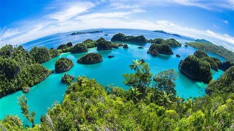 Liveaboard Diving In Raja Ampat Padi Travel