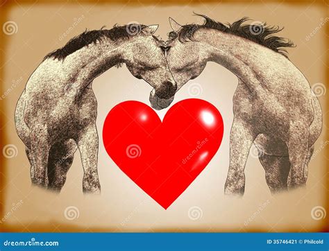 Horses Love Stock Image - Image: 35746421