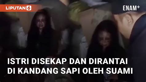 Viral Istri Disekap Dan Dirantai Di Kandang Sapi Oleh Suami Di Jember