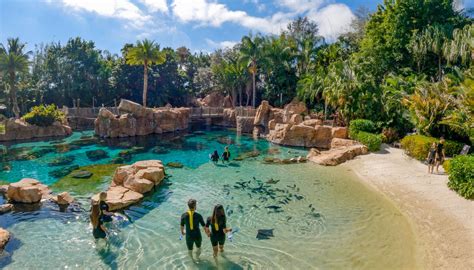 Discovery Cove Renewed Autism Center Certification From Ibcces