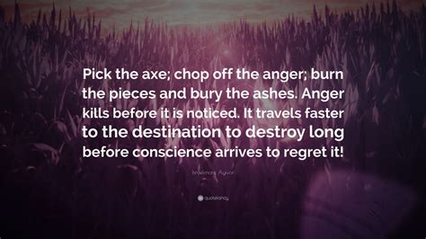 Israelmore Ayivor Quote Pick The Axe Chop Off The Anger Burn The