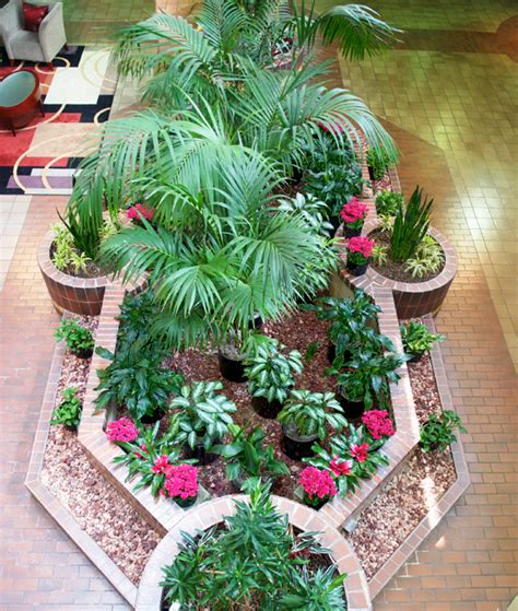 Phillips Interior Plants Indoor Landscaping Services Chicago Suburbs