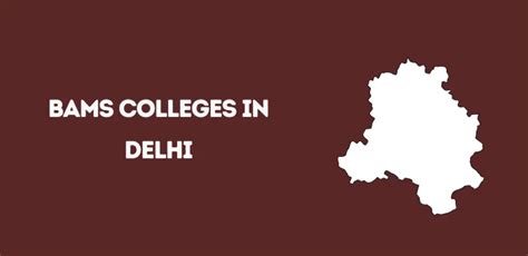 Updated List Of BAMS Colleges In Delhi 2024 25 Govt Pvt Seats