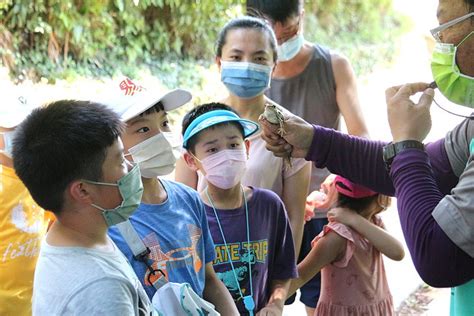 兩棲爬行動物生態導覽南竿場 戶外實際辨別馬祖常見品種，生動又有趣 馬祖日報