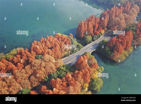 Aerial Photography Of WestLake Autumn Stock Photo Alamy