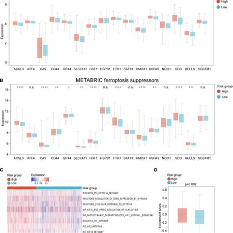 Construction And Validation Of Hypoxia And Ferroptosis Related Gene