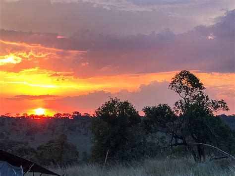 serengeti-sunset | Wilderness Travel Blog