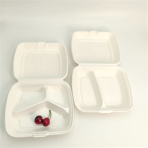 100 Naturally Degradable Compostable Sugarcane Bagasse Eco Friendly