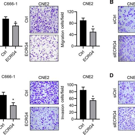 ECRG4 Inhibits NPC Cell Migration And Invasion A Transwell Assay Was