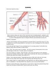 Iv Insertion Docx Iv Insertion Common Insertion Sites Most Common