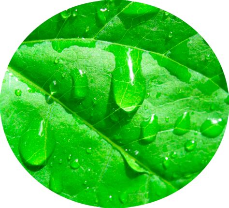 Производитель минеральных удобрений в России