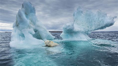 Arctic sea ice melting faster than forecast - CGTN