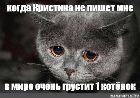 Meme: "когда Кристина не пишет мне в мире очень грустит 1 котёнок ...