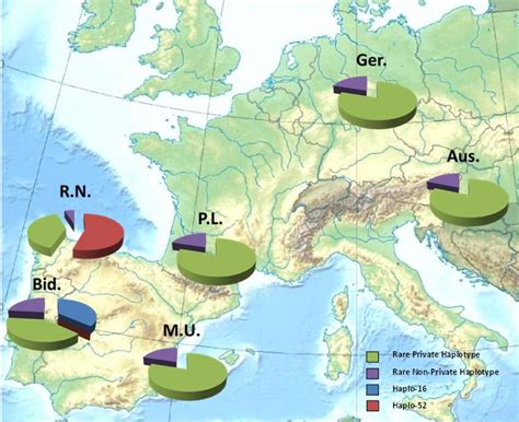 1 -Haplotype distribution across populations. Haplotypes with frequency ... 