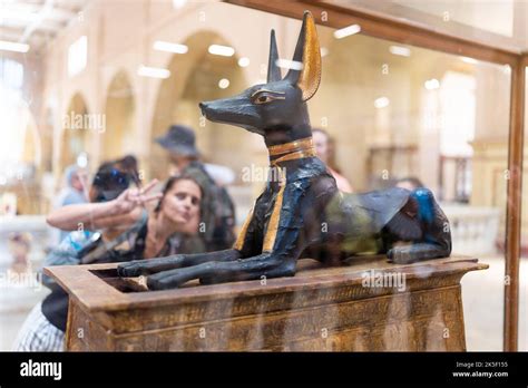 Cairo Egypt June 10 2022 Egyptian Museum God Anubis Stock Photo