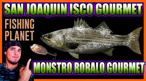 San Joaquin Isco Gourmet Monstro Robalo Gourmet Fishing Planet Youtube