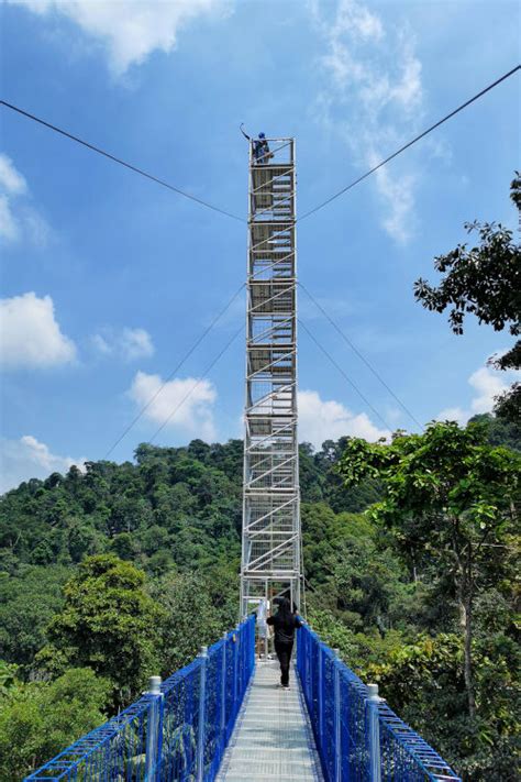 Skywalk At Kepong Botanical Gardens Malaysia Update 2022