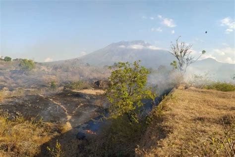 Selama Agustus Terjadi 12 Kasus Kebakaran Lahan Di Kubu BALIPOST