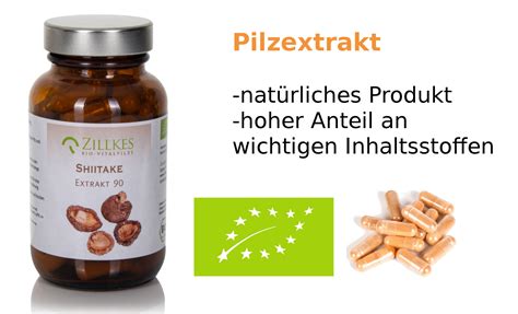 Shiitake-Kapseln online bestellen | Heilpilze Berlin