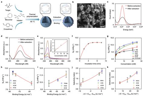 加州理工学院高伟课题组 Adv Mater：quantumdock自动化计算框架指导基于分子印迹聚合物的可穿戴生物传感器构筑中国聚合物网科教新闻