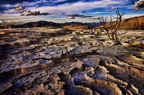 Upper Terrace Mammoth Hot Springs Photograph By John Drew Fine Art