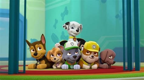 Watch Paw Patrol Season 6 Episode 18 Paw Patrol Pups Save The