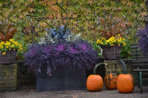 At A Glance: Fall Containers, Old And New | Deborah Silver & Co.