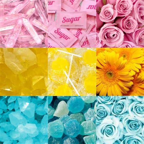 Gay Trash Daddy Trash Sofia Twitter