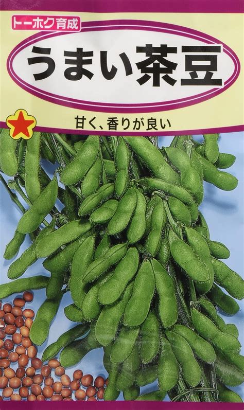 Amazon サカタのタネ 実咲野菜7373 早まき枝豆 天ヶ峰 00927373 野菜