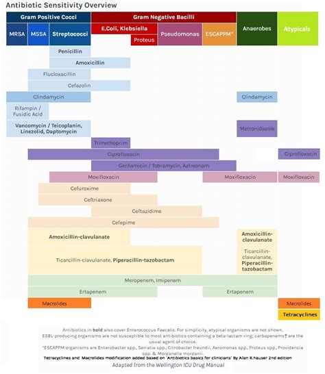 Antibiotic Sensitivity Overview Cheat Sheet Nclex Quiz