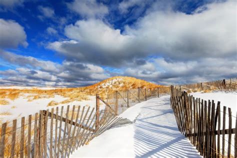 Winter On Cape Cod Stock Photo Download Image Now Istock