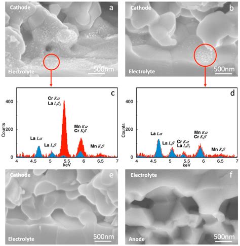 A Sem Micrograph Of The Cathode Electrolyte Interface Of Cell After