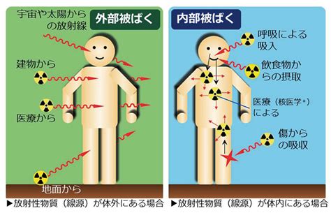 広報誌web版『放射線の人体への影響』 南大牟田病院