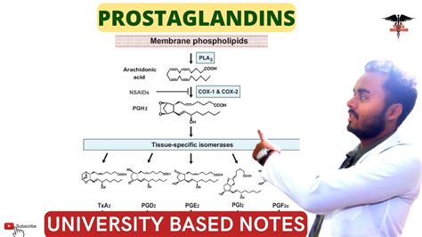 Prostaglandins || Biochemistry lecturer. - YouTube