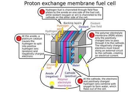 Are Hydrogen Fuel Cell Vehicles A Replacement For Evs We Asked An Expert Digital Trends