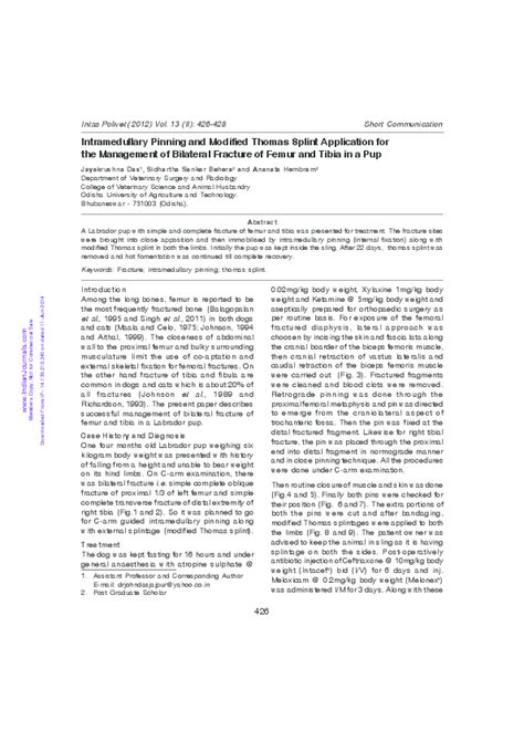 (PDF) Intramedullary Pinning and Modified Thomas Splint Application for the Management of ...