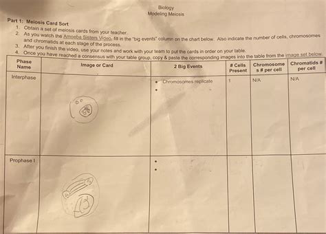 Solved Biology Modeling Meiosis Part 1 Meiosis Card Sort 1 Obtain A