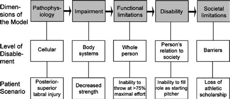 National Center For Medical Rehabilitation Research Disablement Model