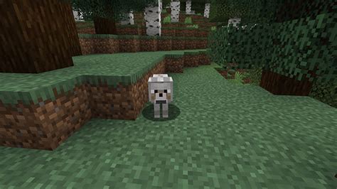 Toutes Les Variantes De Wolf Et Où Les Trouver Dans Minecraft