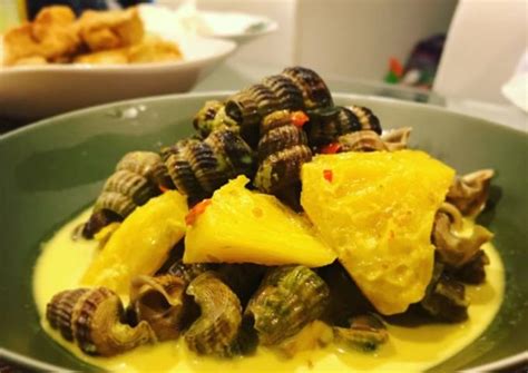 Resepi 1 Kilo Siput Lemak Cili Padi Resepi Nangka Masak Lemak Cili